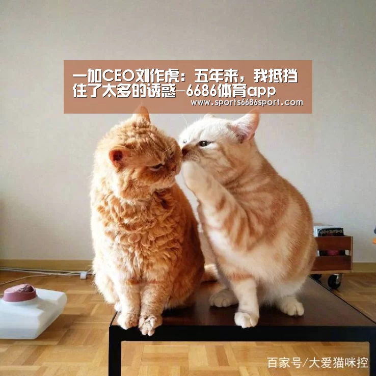 一加CEO刘作虎:五年来,我抵挡住了太多的诱惑-6686体育app(图3) 6686体育下载