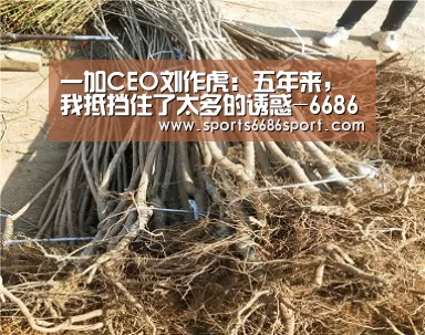 一加CEO刘作虎：五年来，我抵挡住了太多的诱惑-6686体育