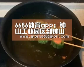 6686体育下载