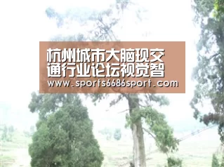 6686体育官网