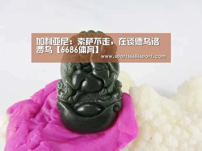 加利亚尼:索萨不走,在谈德乌洛费乌【6686体育】(图1) 6686体育下载