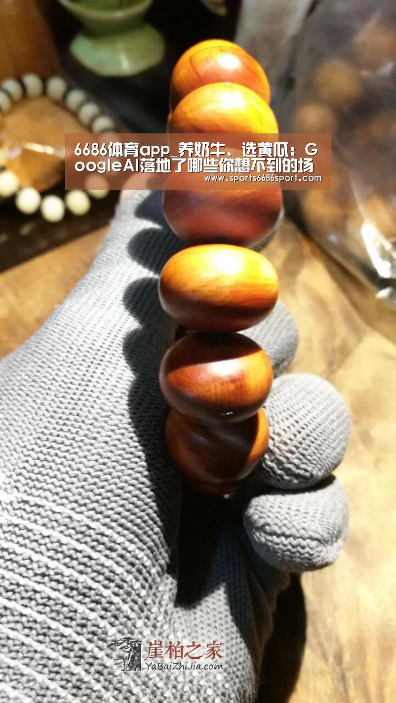 6686体育app_养奶牛、选黄瓜：GoogleAI落地了哪