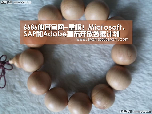 6686体育官网-重磅！Microsoft、SAP和Adob