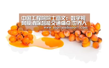 中国工程院院士高文:数字视网膜消除智能交通痛点|世界人工智能融合发展大会_6686体育app(图3) 6686体育官网