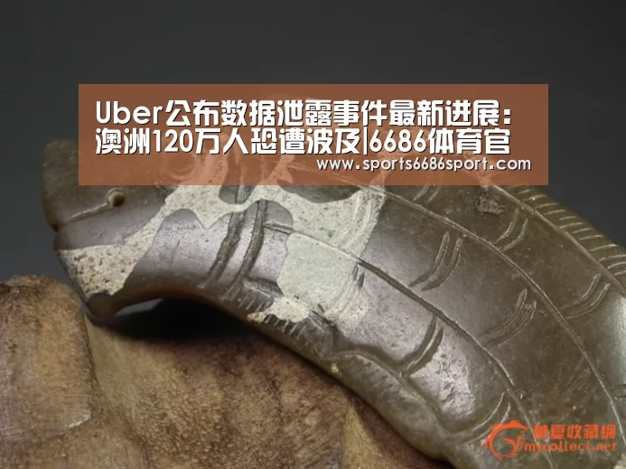 6686体育官网