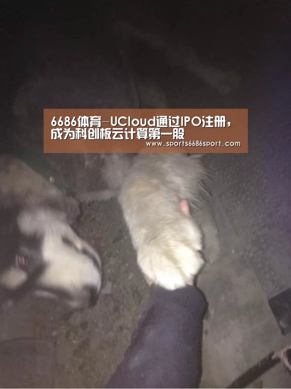 6686体育-UCloud通过IPO注册，成为科创板云计算第