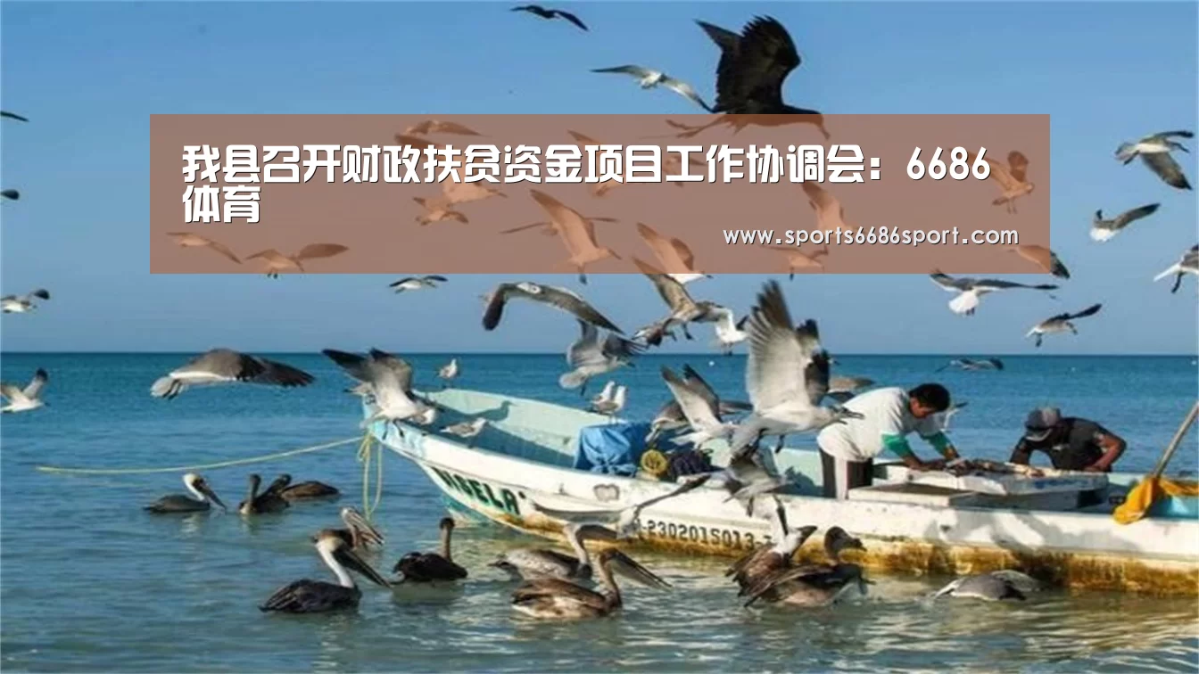6686体育下载