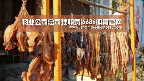 物业公司总司理职责|6686体育官网(图1) 6686体育