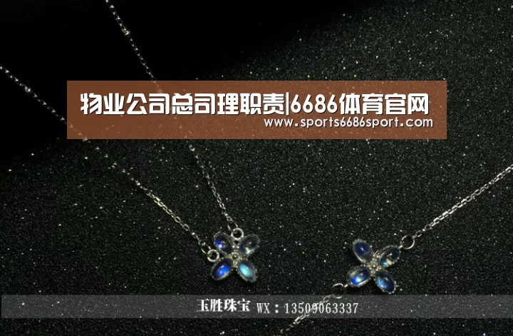 物业公司总司理职责|6686体育官网(图2) 6686体育